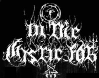 logo In The Mystic Fog